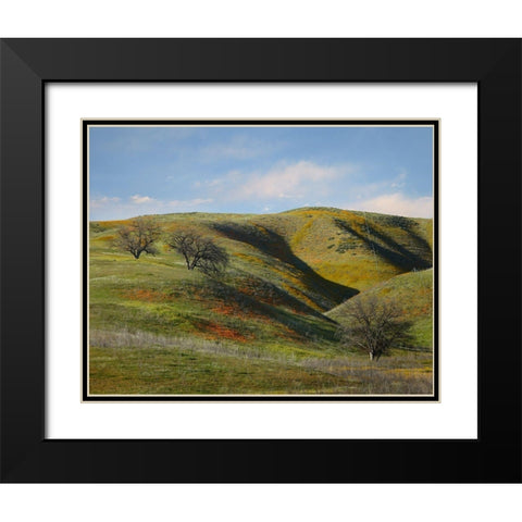 La Panza Range in Spring-Califonia Black Modern Wood Framed Art Print with Double Matting by Fitzharris, Tim