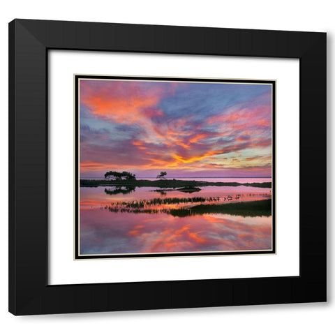 Padre Island National Seashore-Texas-USA Black Modern Wood Framed Art Print with Double Matting by Fitzharris, Tim