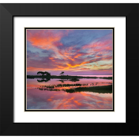 Padre Island National Seashore-Texas-USA Black Modern Wood Framed Art Print with Double Matting by Fitzharris, Tim