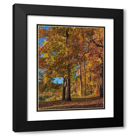 Tyler Lake State Park-Texas Black Modern Wood Framed Art Print with Double Matting by Fitzharris, Tim