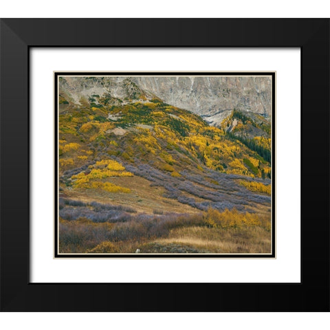 Sub-alpine Forest-Gothic Mountain-Colorado Black Modern Wood Framed Art Print with Double Matting by Fitzharris, Tim