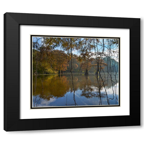 White River National Wildlife Refuge-Arkansas-USA Black Modern Wood Framed Art Print with Double Matting by Fitzharris, Tim