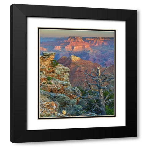 Desert View Overlook-Grand Canyon National Park-Arizona-USA Black Modern Wood Framed Art Print with Double Matting by Fitzharris, Tim