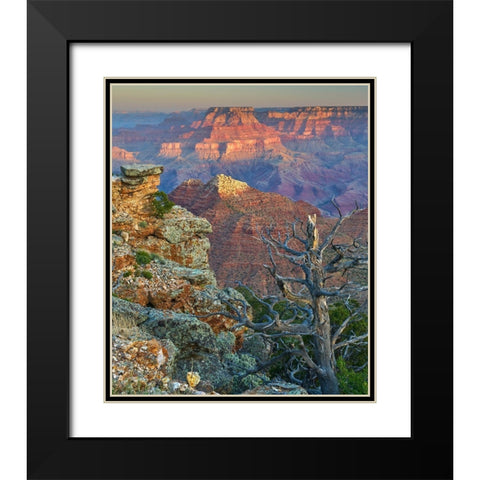 Desert View Overlook-Grand Canyon National Park-Arizona-USA Black Modern Wood Framed Art Print with Double Matting by Fitzharris, Tim