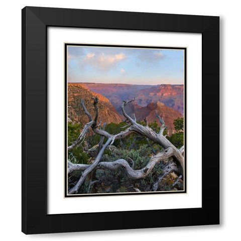 Desert View Overlook-Grand Canyon National Park-Arizona-USA Black Modern Wood Framed Art Print with Double Matting by Fitzharris, Tim
