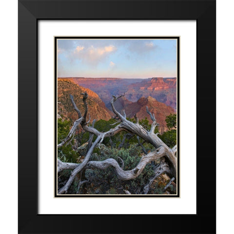 Desert View Overlook-Grand Canyon National Park-Arizona-USA Black Modern Wood Framed Art Print with Double Matting by Fitzharris, Tim