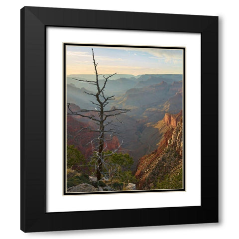 The Abyss from near Mohave point-Grand Canyon National Park-Arizona Black Modern Wood Framed Art Print with Double Matting by Fitzharris, Tim