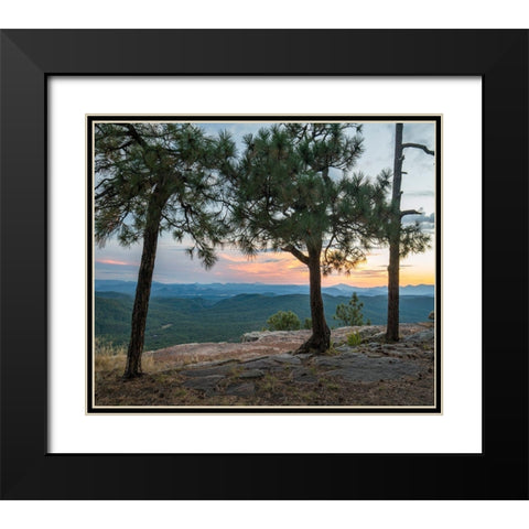 Mazatzal Wilderness-Coconino National Forest-Arizona Black Modern Wood Framed Art Print with Double Matting by Fitzharris, Tim