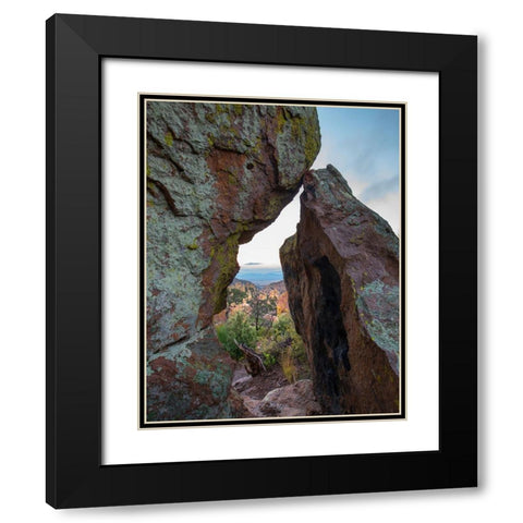 Echo Canyon Trail Chiricahua National Monument-Arizona-USA Black Modern Wood Framed Art Print with Double Matting by Fitzharris, Tim