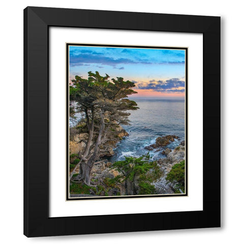 Pescdero Point-17-mile drive-Pebble-Beach-California-USA Black Modern Wood Framed Art Print with Double Matting by Fitzharris, Tim