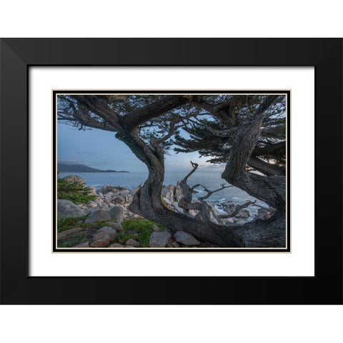 Pescdero Point-17-mile drive-Pebble-Beach-California-USA Black Modern Wood Framed Art Print with Double Matting by Fitzharris, Tim