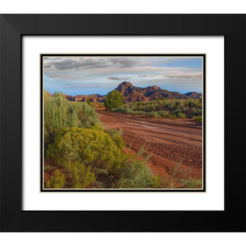 Vermillion Cliffs National Monument-Arizona-USA Black Modern Wood Framed Art Print with Double Matting by Fitzharris, Tim