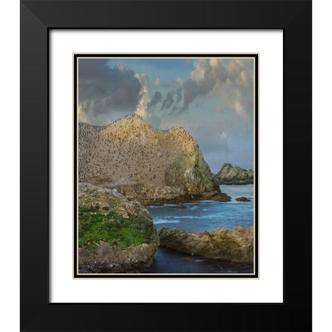 Bird Island-Point Lobos State reserve-California Black Modern Wood Framed Art Print with Double Matting by Fitzharris, Tim