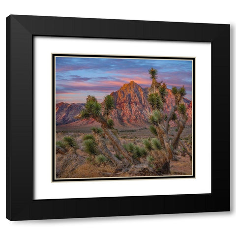 Spring Mountains at Red Rock Canyon National Conservation Area-Utah Black Modern Wood Framed Art Print with Double Matting by Fitzharris, Tim