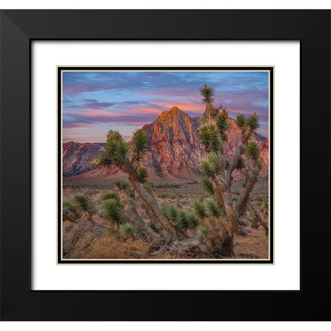 Spring Mountains at Red Rock Canyon National Conservation Area-Utah Black Modern Wood Framed Art Print with Double Matting by Fitzharris, Tim