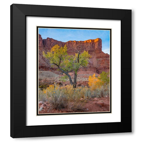 Sandstone Cliffs at Porcupine Canyon-Utah Black Modern Wood Framed Art Print with Double Matting by Fitzharris, Tim