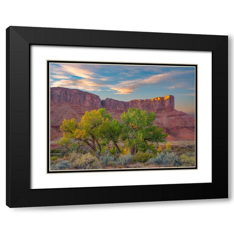 Sandstone Cliffs at Porcupine Canyon-Utah Black Modern Wood Framed Art Print with Double Matting by Fitzharris, Tim