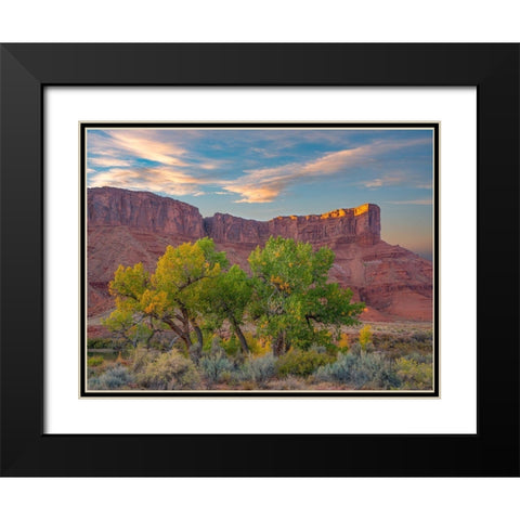 Sandstone Cliffs at Porcupine Canyon-Utah Black Modern Wood Framed Art Print with Double Matting by Fitzharris, Tim