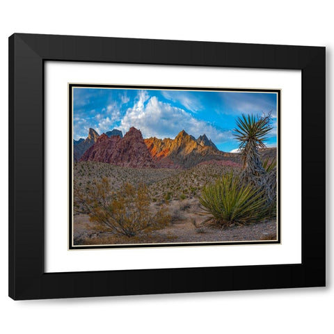 Red Rock Canyon National Conservation Area-Nevada-USA  Black Modern Wood Framed Art Print with Double Matting by Fitzharris, Tim