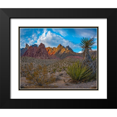 Red Rock Canyon National Conservation Area-Nevada-USA  Black Modern Wood Framed Art Print with Double Matting by Fitzharris, Tim