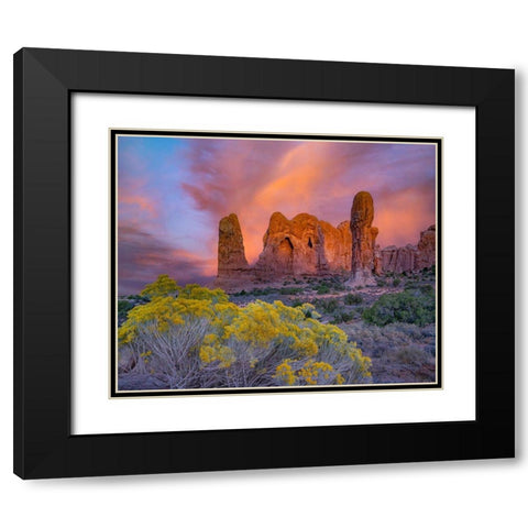 Parade of the Elephants Sandstone Formation-Arches National Park-Utah Black Modern Wood Framed Art Print with Double Matting by Fitzharris, Tim