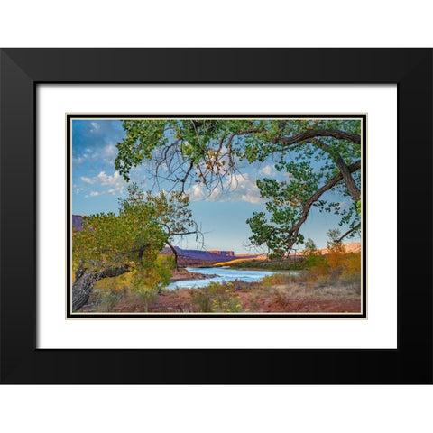 Porcupine Canyon on Colorado River near Castle Valley-Utah-USA Black Modern Wood Framed Art Print with Double Matting by Fitzharris, Tim