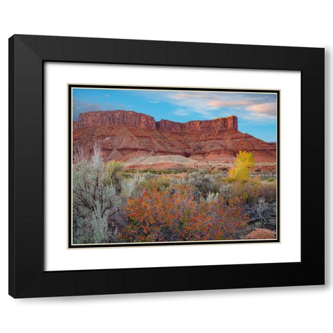 Porcupine Canyon with Dome Plateau on Colorado River near Moab-Utah Black Modern Wood Framed Art Print with Double Matting by Fitzharris, Tim