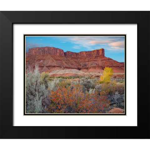 Porcupine Canyon with Dome Plateau on Colorado River near Moab-Utah Black Modern Wood Framed Art Print with Double Matting by Fitzharris, Tim