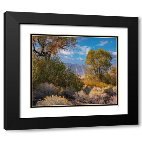 Sierra Nevada-Owens Valley-California-USA Black Modern Wood Framed Art Print with Double Matting by Fitzharris, Tim