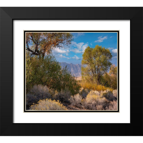 Sierra Nevada-Owens Valley-California-USA Black Modern Wood Framed Art Print with Double Matting by Fitzharris, Tim