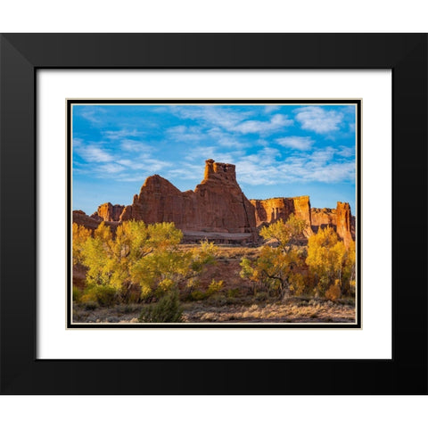 Courthouse Towers from Courthouse Wash-Arches National Park-Utah Black Modern Wood Framed Art Print with Double Matting by Fitzharris, Tim