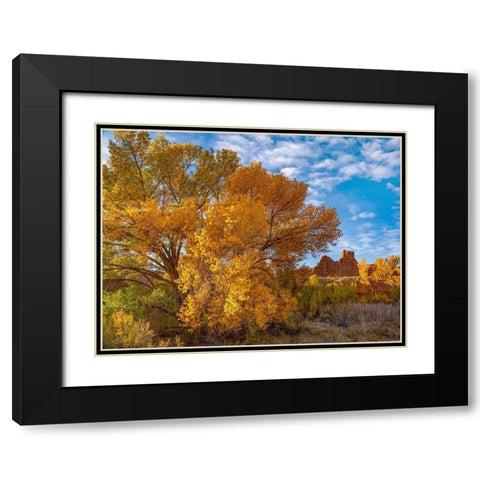 Courthouse Towers from Courthouse Wash-Arches National Park-Utah Black Modern Wood Framed Art Print with Double Matting by Fitzharris, Tim