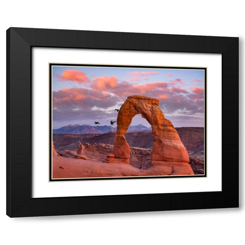 Delicate Arch-Arches National Park-Utah-USA Black Modern Wood Framed Art Print with Double Matting by Fitzharris, Tim
