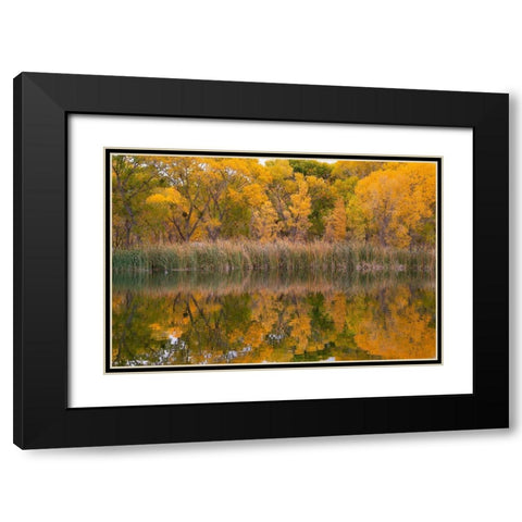 Lagoon Reflection-Dead Horse Ranch State Park-Arizona-USA Black Modern Wood Framed Art Print with Double Matting by Fitzharris, Tim