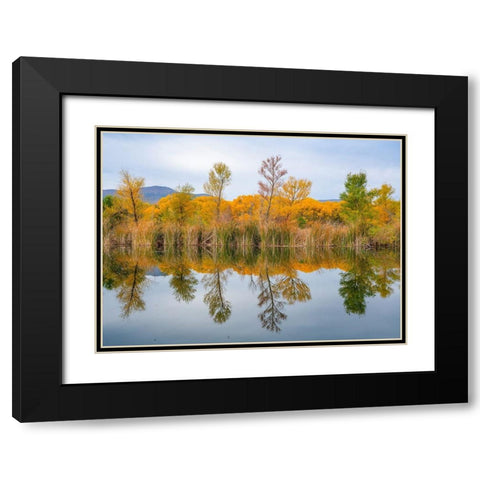 Lagoon Reflection-Dead Horse Ranch State Park-Arizona-USA Black Modern Wood Framed Art Print with Double Matting by Fitzharris, Tim