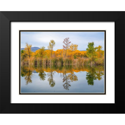 Lagoon Reflection-Dead Horse Ranch State Park-Arizona-USA Black Modern Wood Framed Art Print with Double Matting by Fitzharris, Tim