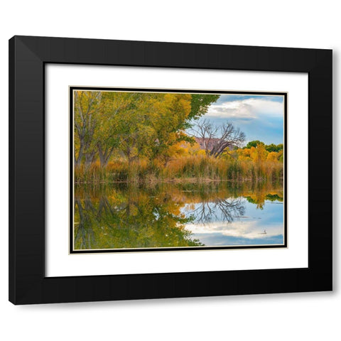 Lagoon Reflection-Dead Horse Ranch State Park-Arizona-USA Black Modern Wood Framed Art Print with Double Matting by Fitzharris, Tim