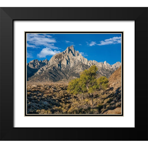 Lone Pine Peak-Eastern Sierra-California Black Modern Wood Framed Art Print with Double Matting by Fitzharris, Tim