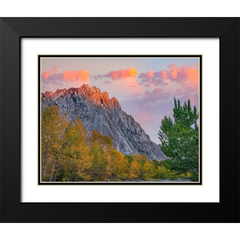 Mount Tom-Eastern Sierra-California-USA Black Modern Wood Framed Art Print with Double Matting by Fitzharris, Tim