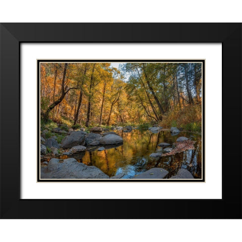 Oak Creek near Sedona-Arizona-USA Black Modern Wood Framed Art Print with Double Matting by Fitzharris, Tim