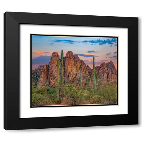 Usury Mountains from Tortilla Flat-Arizona-USA Black Modern Wood Framed Art Print with Double Matting by Fitzharris, Tim