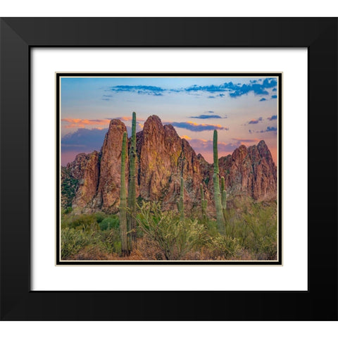 Usury Mountains from Tortilla Flat-Arizona-USA Black Modern Wood Framed Art Print with Double Matting by Fitzharris, Tim