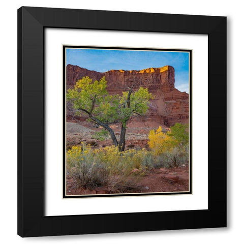 Porcupine Canyon on Colorado River near Castle Valley-Utah Black Modern Wood Framed Art Print with Double Matting by Fitzharris, Tim