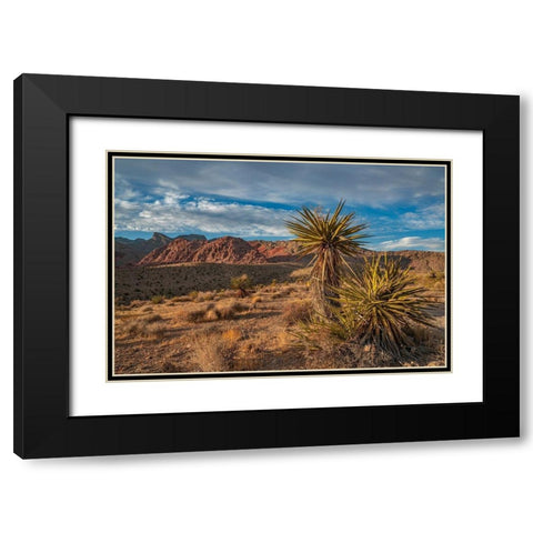 Red Rock Canyon National Conservation Area near Las Vegas-Nevada Black Modern Wood Framed Art Print with Double Matting by Fitzharris, Tim