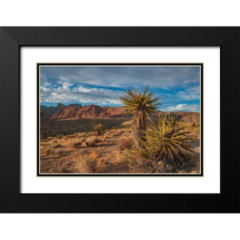 Red Rock Canyon National Conservation Area near Las Vegas-Nevada Black Modern Wood Framed Art Print with Double Matting by Fitzharris, Tim