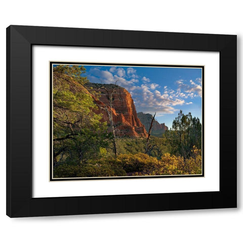 Coconino National Forest near Sedona-Arizona-USA Black Modern Wood Framed Art Print with Double Matting by Fitzharris, Tim