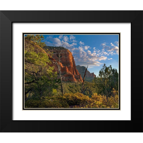 Coconino National Forest near Sedona-Arizona-USA Black Modern Wood Framed Art Print with Double Matting by Fitzharris, Tim