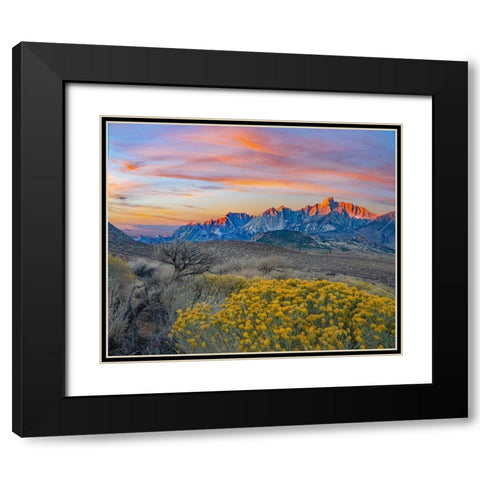 Sierra Nevada from Owens Valley-California-USA Black Modern Wood Framed Art Print with Double Matting by Fitzharris, Tim