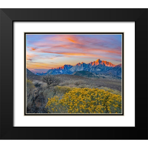 Sierra Nevada from Owens Valley-California-USA Black Modern Wood Framed Art Print with Double Matting by Fitzharris, Tim