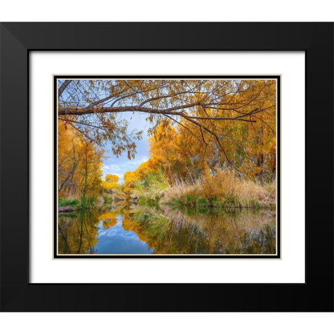 Verde River near Camp Verde-Arizona-USA Black Modern Wood Framed Art Print with Double Matting by Fitzharris, Tim